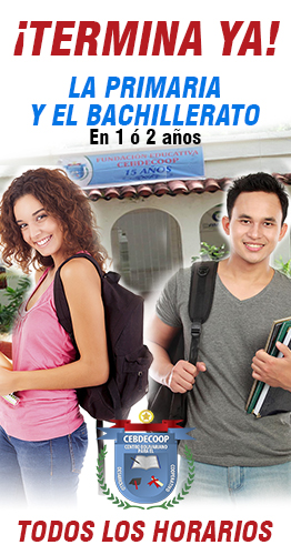 primaria y bachillerato